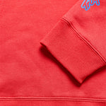 Youth Pullover Hoodie Badge Scarlet