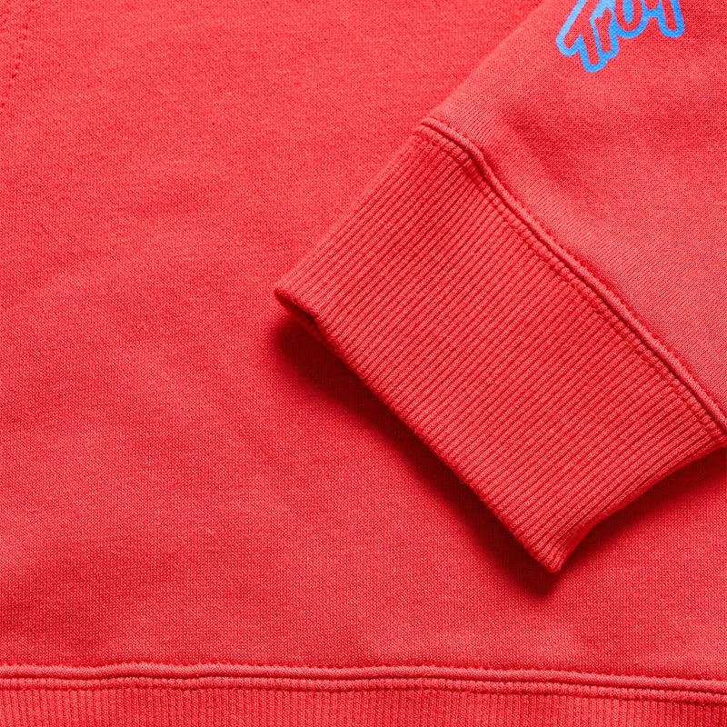 Youth Pullover Hoodie Badge Scarlet